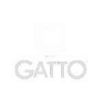 gatto